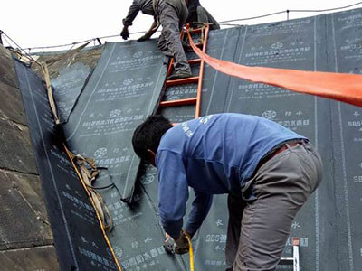 1587391015889509.jpg 17.jpg