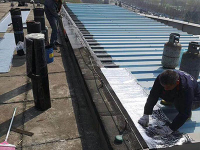 1587391132108913.jpg 75.JPG